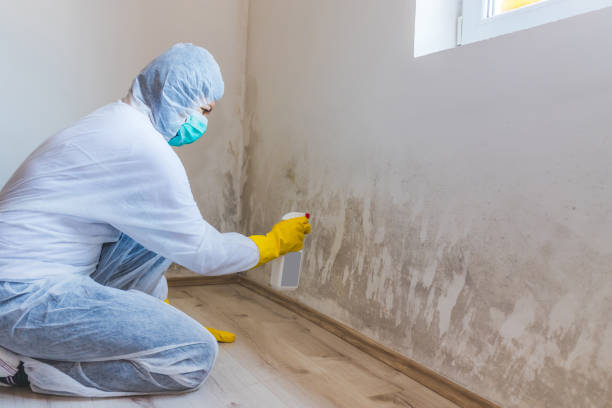 Licensed Bathroom Mold Removal service in Hacksneck, VA - WQB Mold Removal