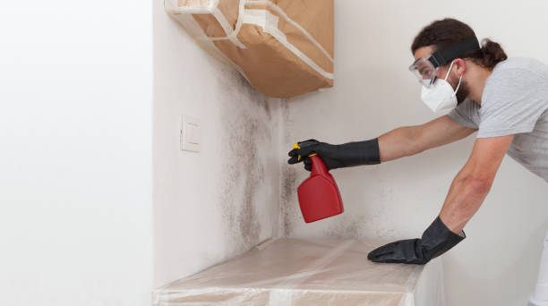 Professional Bathroom Mold Removal technician working in Hacksneck, VA