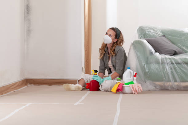 Reliable Bathroom Mold Removal contractor in Hacksneck, VA by WQB Mold Removal